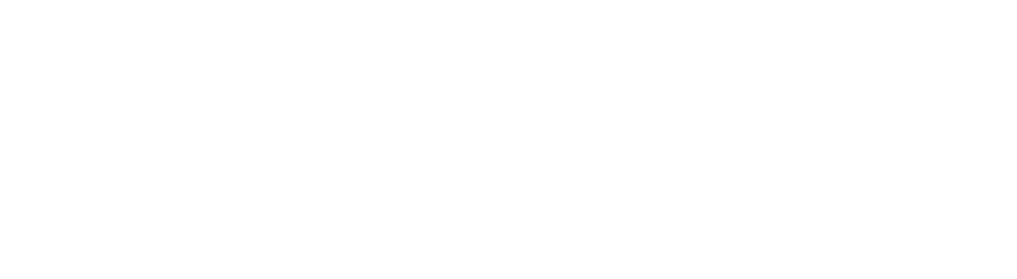 PayZu